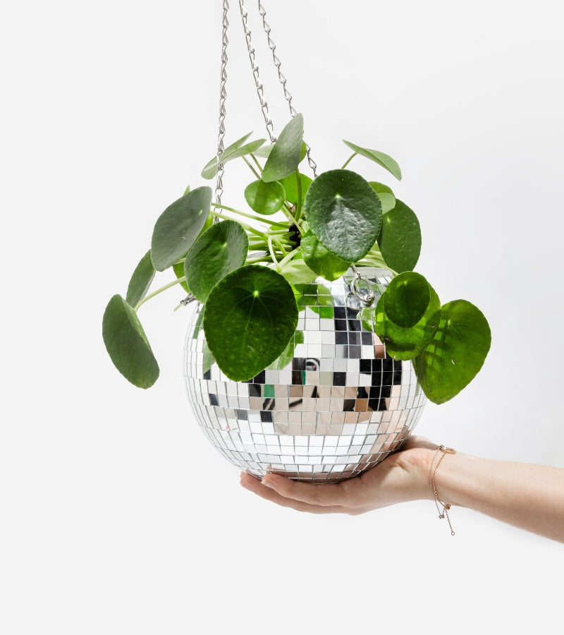 Cache pot à plantes disco boule à facettes
