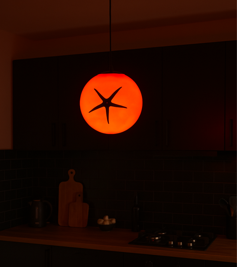 Lampe tomate à poser ou suspendre
