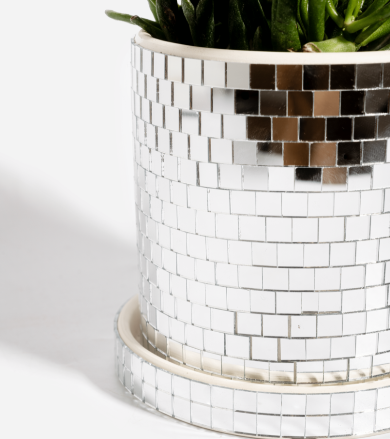 Pot à plante disco