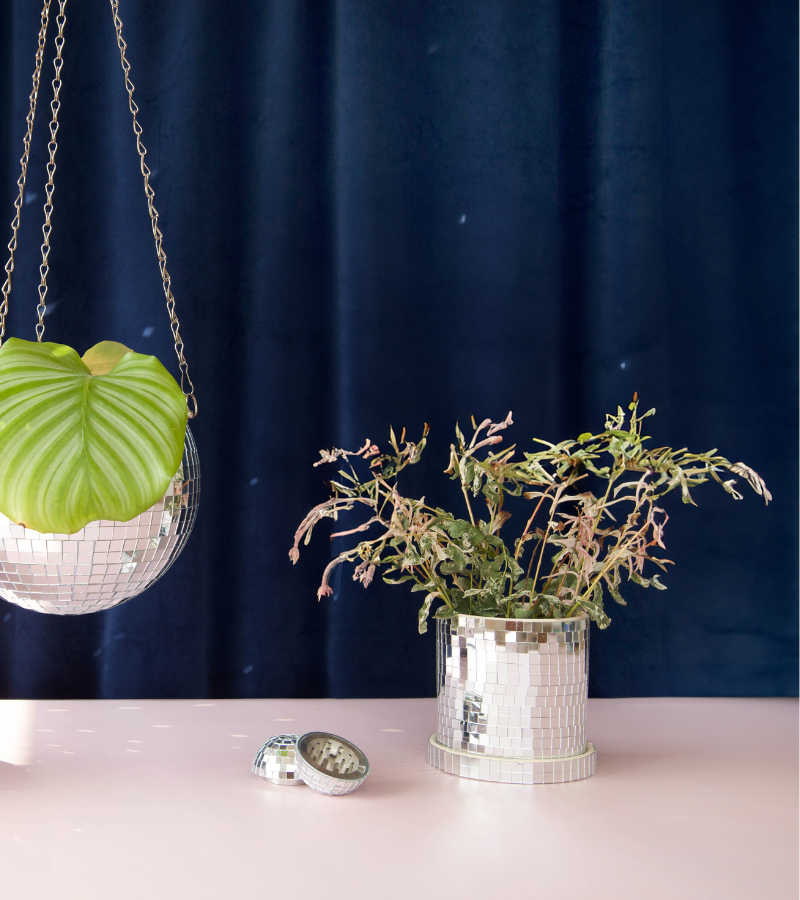 Pot à plante disco