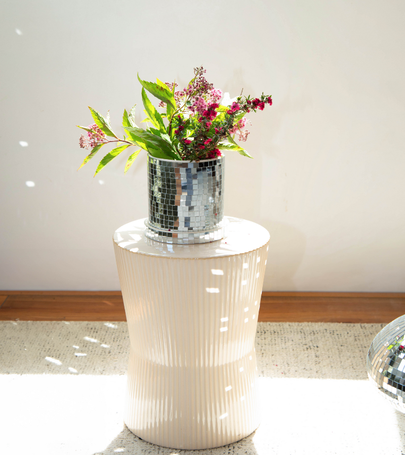 Pot à plante disco