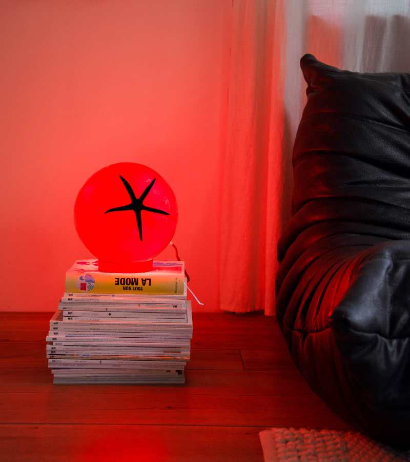 Lampe tomate à poser ou suspendre