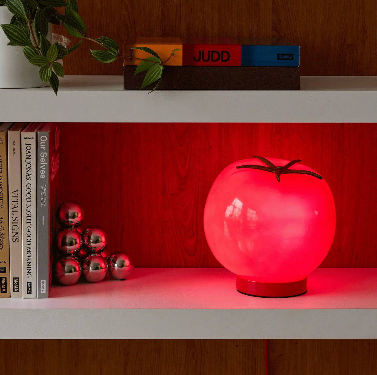 Lampe tomate à poser ou suspendre